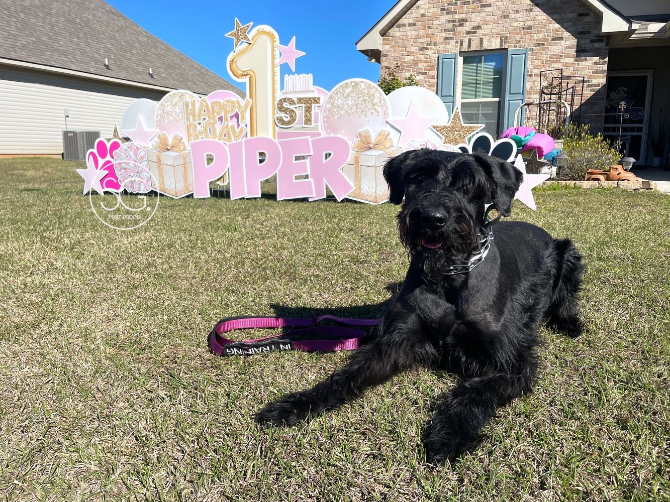 Sign Gypsies of Hammond Yard Greeting, Yard Signs
